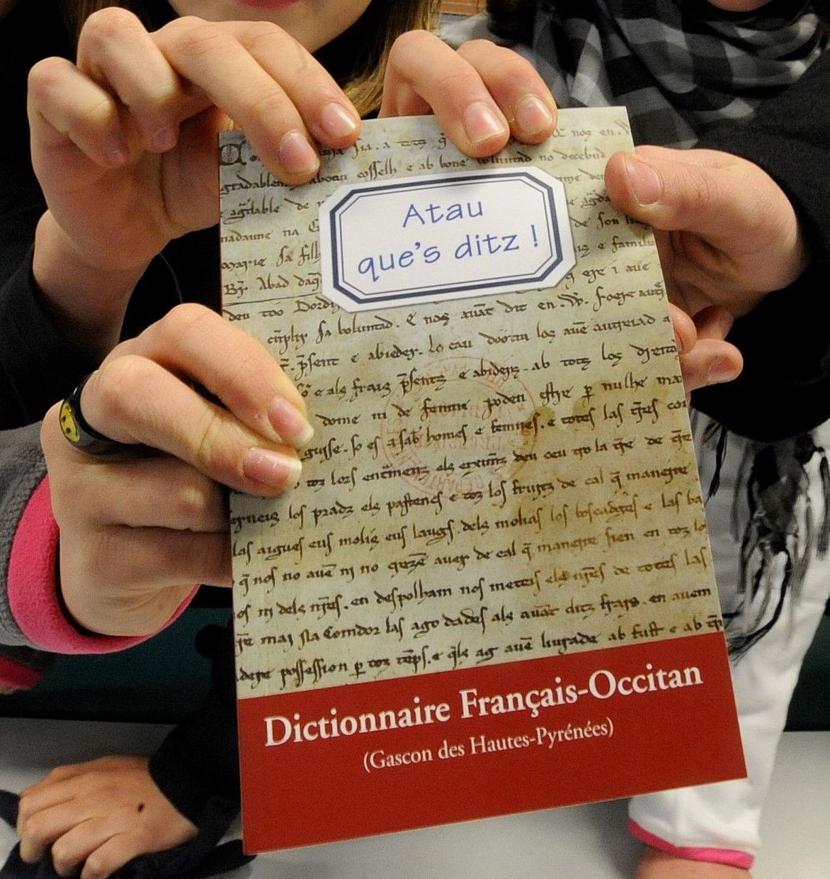 Le Comitat gascon dera lenca occitana