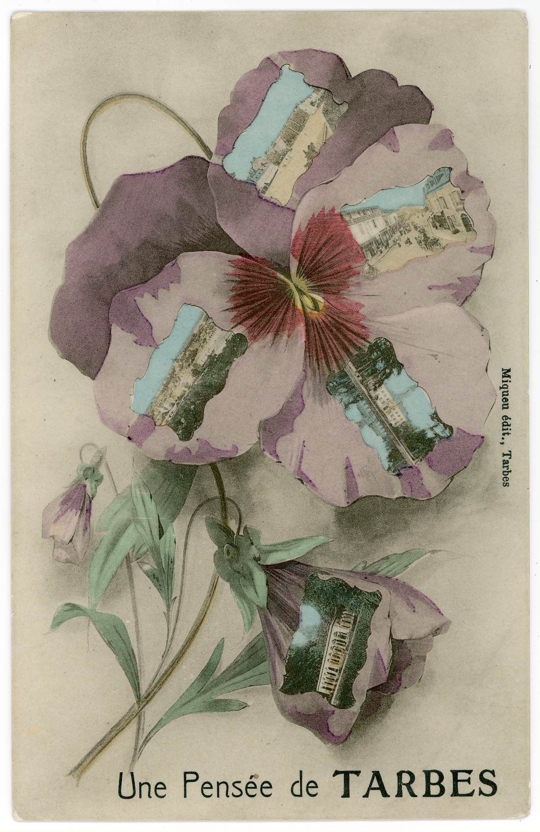 Archivesenligne65.fr revêt ses habits de printemps !