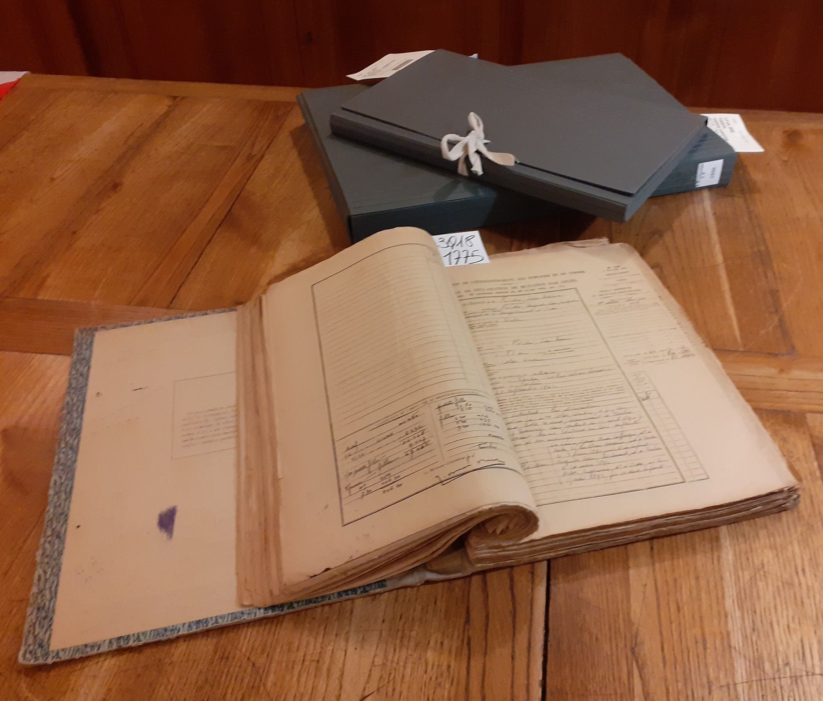 Comunicabilitat deths archius