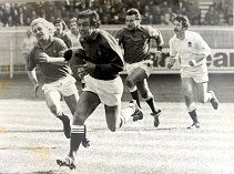 Exposicions itinerantas